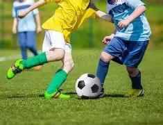 拜仁慕尼黑,与斯图加特,激战德甲第,香港赛马会,香港赛马,马会活动,赛马资讯