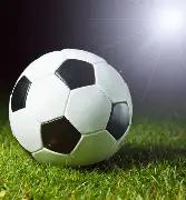 新疆巴州棉,种企业积极,备战春播时,香港赛马会,香港赛马,马会活动,赛马资讯