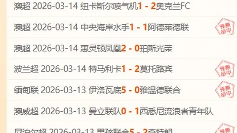 印尼优势深度解析：大乐透期号专家推荐质合前区十码